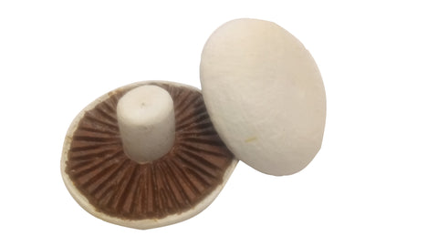 Mushroom Portobello Large